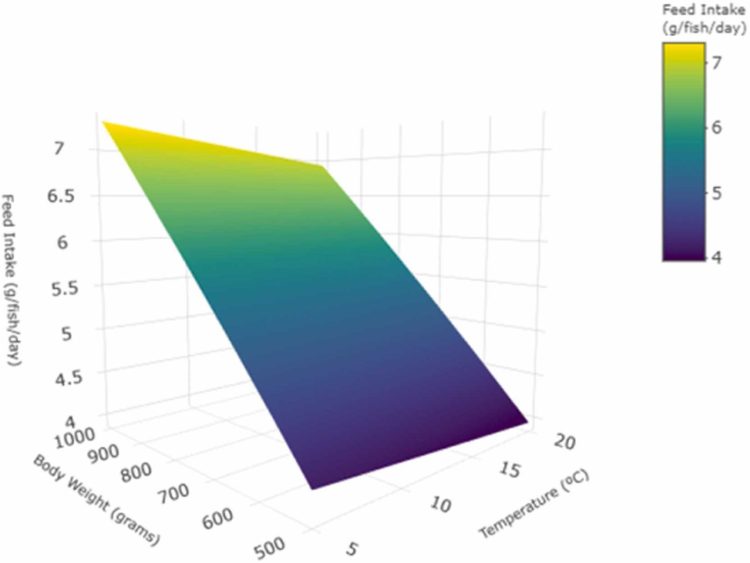 El gráfico de superficie 3D ilustra la relación entre la ingesta de alimento (g/pez/día), el peso corporal (gramos) y la temperatura (°C) según el modelo "FI1/robust_i". Créditos: Estudio.