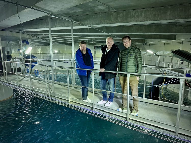 Proyecto de cultivo terrestre de salmón recibe financiamiento de 147 millones USD