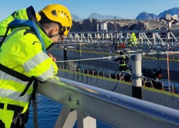 Gigante Salmon supera su meta en primera producción de salmón en tierra