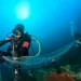 Senado aprueba proyecto que crea contrato de buceo y actividades conexas