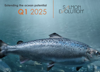 Récord de producción impulsa a Salmon Evolution