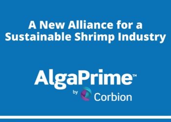 Corbion celebra nueva alianza con la  Sustainable Shrimp Partnership (SSP)