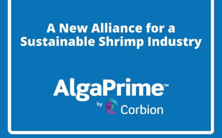 Corbion celebra nueva alianza con la  Sustainable Shrimp Partnership (SSP)