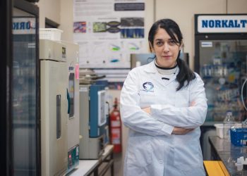 Energía limpia desde residuos: algas y purines para producir hidrógeno y metano verde