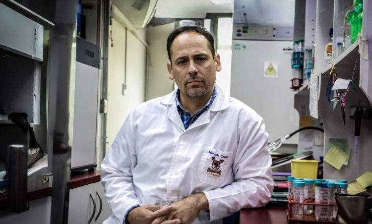 Dr. Marcelo Cortez, académico e investigador de la Facultad de Química y Biología de la Usach. Créditos Usach.