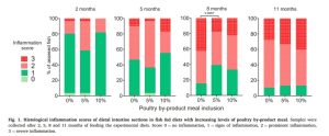 Harina de subproductos avícolas: Favorece el crecimiento, bienestar y calidad del filete del salmón