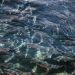 Floraciones de algas golpean al salmón en Noruega