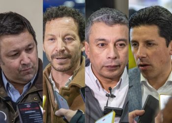 “No hay agua en la piscina”: La mirada de la industria y autoridades sobre el intento fallido de una nueva Ley de Acuicultura