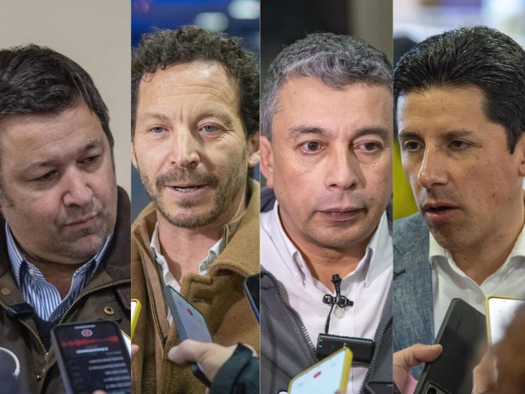 “No hay agua en la piscina”: La mirada de la industria y autoridades sobre el intento fallido de una nueva Ley de Acuicultura
