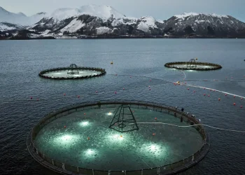 AKVA group anuncia la primera operación comercial para cultivo de bacalao en aguas profundas del mundo