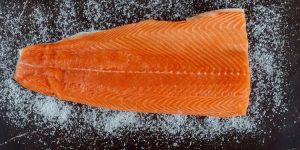 Analizan astaxantina en el salmón y su abundancia en el plasma humano