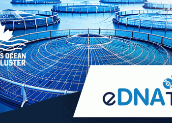 Mowi y eDNAtec lideran nueva inversión genómica para acuicultura sostenible