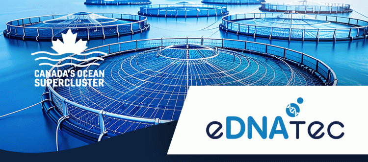 Mowi y eDNAtec lideran nueva inversión genómica para acuicultura sostenible