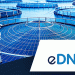 Mowi y eDNAtec lideran nueva inversión genómica para acuicultura sostenible