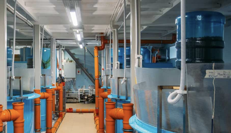Empresa británica apuesta por innovación RAS