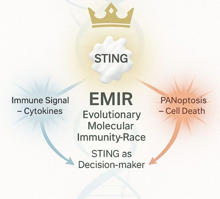 El modelo EMIR conceptualiza a STING como un nodo de decisión inmunológica evolutivo gobernado por el contexto y la coevolución. Créditos: Estudio.