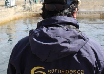 Sernapesca Aysen