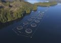 Low O2 anuncia con éxito la instalación de un sistema de mitigación ambiental en Canadá para proteger centros de salmones
