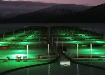 Luz LED transforma acuicultura en Noruega