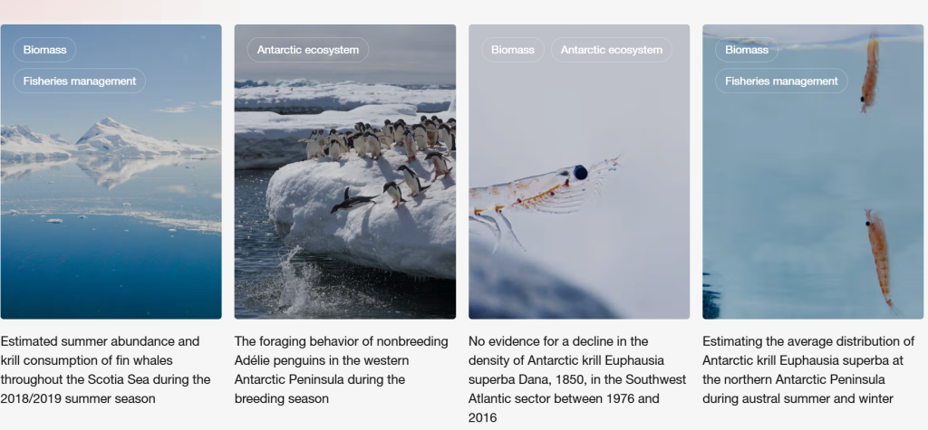Lanzamiento de Krill Science Hub: 20 años de investigación antártica accesibles
