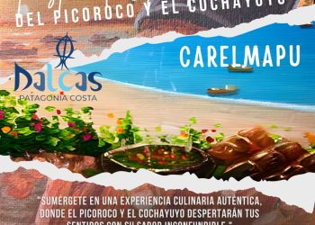 Retorna a Carelmapu el Festival del Picoroco y Cochayuyo