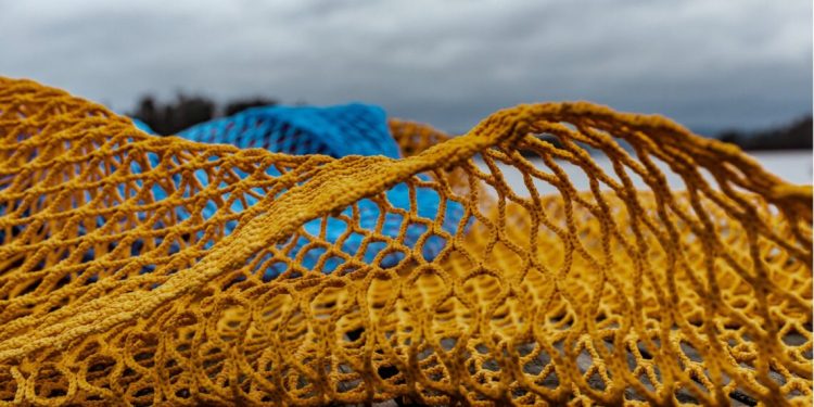 Antifouling inteligente: una herramienta clave para potenciar la nutrición en acuicultura