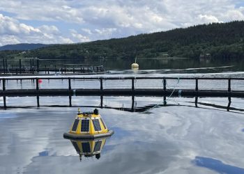 Sistema con IA noruega detecta piojos de mar en tiempo real