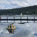 Sistema con IA noruega detecta piojos de mar en tiempo real