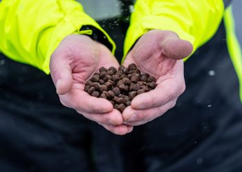 GSI y WWF impulsan alimentación sostenible en la salmonicultura