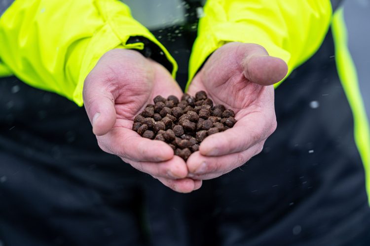 GSI y WWF impulsan alimentación sostenible en la salmonicultura