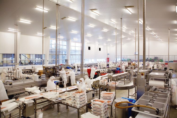 informe del INE confirma la relevancia del salmón chileno en la canasta exportadora regional