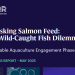 Tercer informe de avance del programa Sustainable Aquaculture, liderado por FAIRR Initiative.