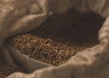 Rusia refuerza producción local de alimento para peces