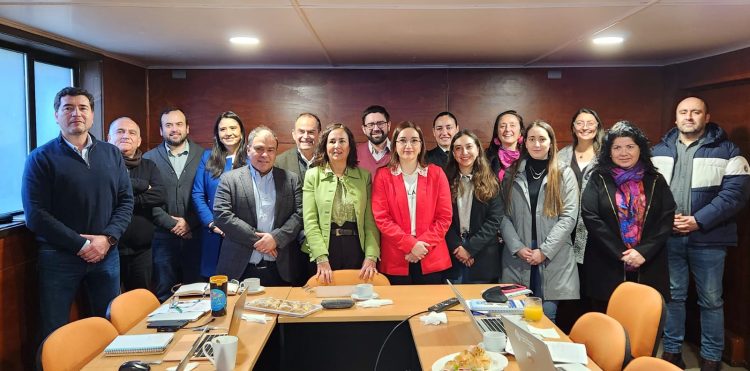 Comité APL Marítimo Portuario Los Lagos. Créditos: Corfo.