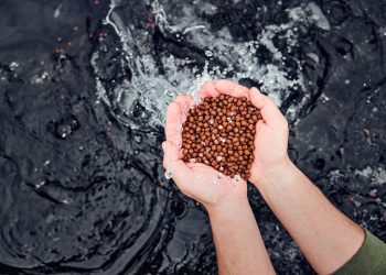 La acuicultura enfrenta incertidumbre por falta de alimentos sostenibles