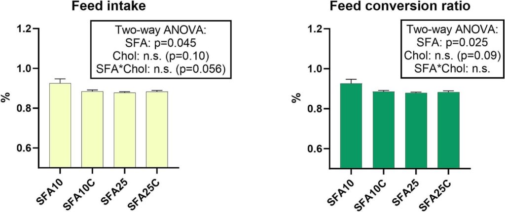 Estudio revista 8