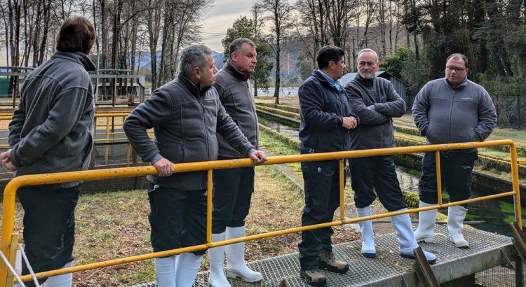 GORE La Araucanía conoce en terreno avances y aportes de la industria salmonera en la región