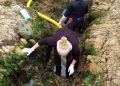 Investigación compara comunidades de peces intermareales entre las regiones del Biobío y Valparaíso