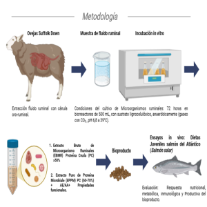 Extracto Proteico Microbial de origen ruminal: Potencial fuente novedosa y sustentable de proteína funcional para dietas en juveniles de salmón del Atlántico
