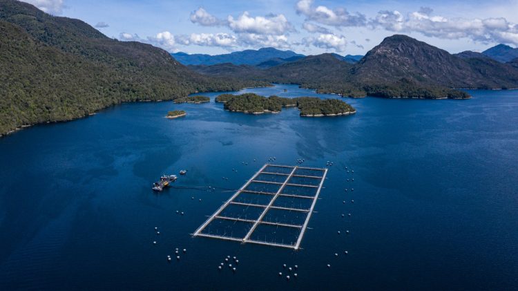 Multi X y Sercotec lanzan programa Red Pyme Aysén para fortalecer proveedores locales