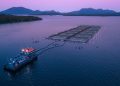 Multi X obtiene dos innovadoras patentes que potencian la eficiencia en operaciones de agua de mar