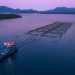 Multi X obtiene dos innovadoras patentes que potencian la eficiencia en operaciones de agua de mar