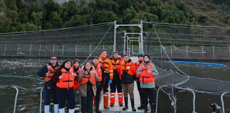 Estudiantes de salmonicultura recorren centro marino de AquaChile en Aysén