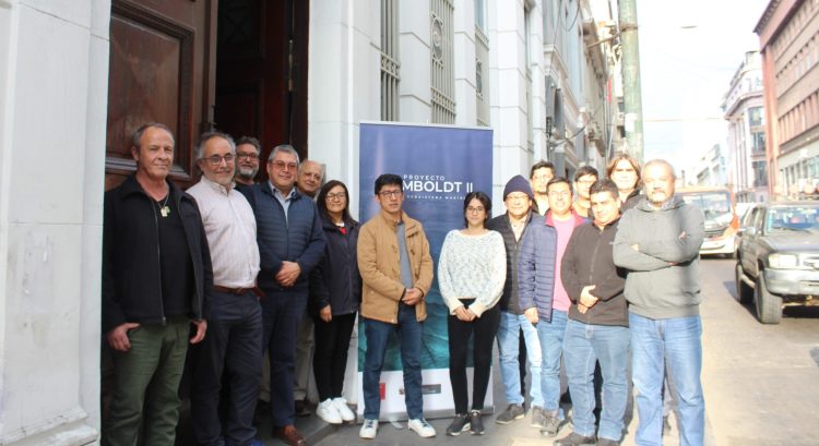 IFOP e IMARPE fortalecen evaluación conjunta de anchoveta