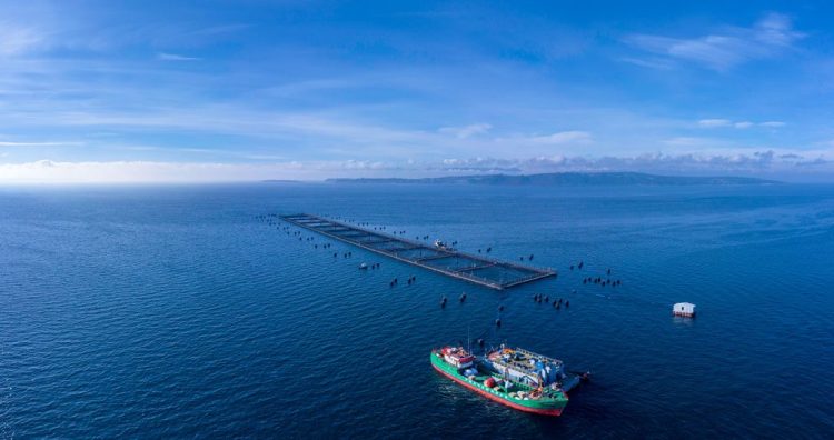 Declaración del Consejo del Salmón ante la alerta de tsunami