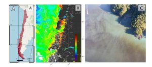 Más de 36 años monitoreando FAN en el sur de Chile: Reconocen a Plancton Andino en Harmful Algae News