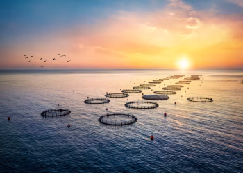 Rabobank: Desafíos y oportunidades para la acuicultura global en 2025