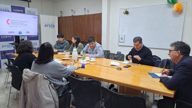 Aysén impulsa 20 proyectos productivos con apoyo de Corfo