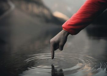 Skretting presentó ACT: liderar con acción, para la sostenibilidad en la industria del salmón