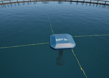 Smir lanza una nueva herramienta para prevenir el piojo del salmón